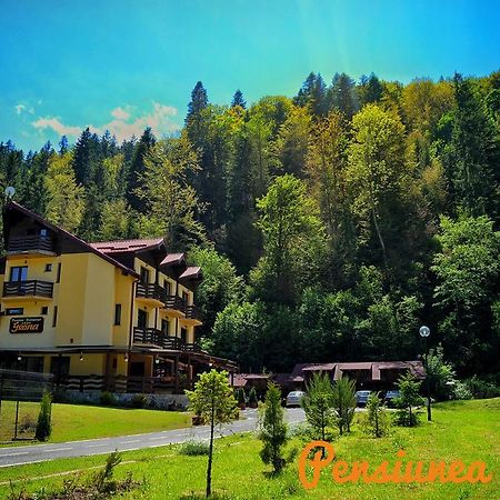 Pensiunea Geona Poiana Teiului Dış mekan fotoğraf