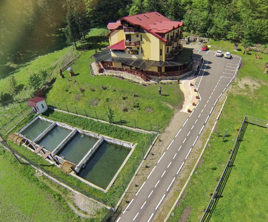 Pensiunea Geona Poiana Teiului Dış mekan fotoğraf