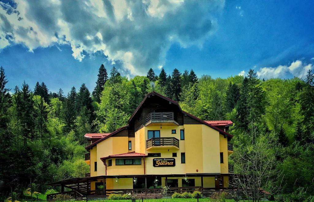 Pensiunea Geona Poiana Teiului Dış mekan fotoğraf