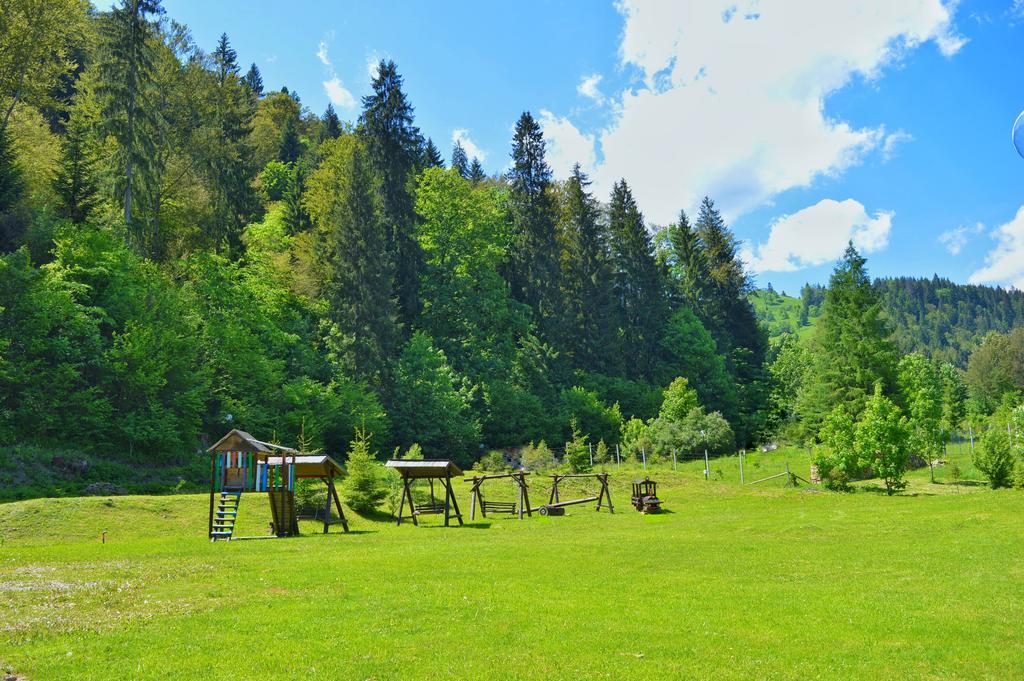 Pensiunea Geona Poiana Teiului Dış mekan fotoğraf
